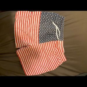 Chubbies swim trunks